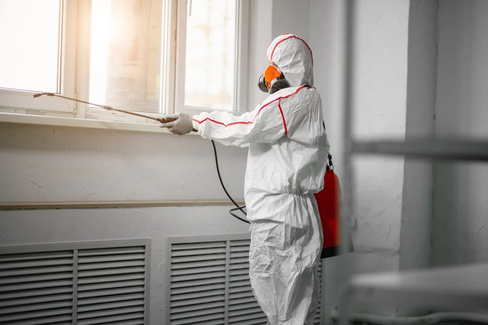 Professional mold remediation services in Fentress, TX